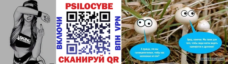 Псилоцибиновые грибы Magic Shrooms  Купить закладки  Сортавала 